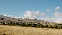 Koyunlu Genel Görüntü