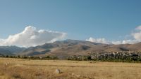 Koyunlu Genel Görüntü
