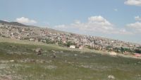 Koyunlu Genel Görüntü